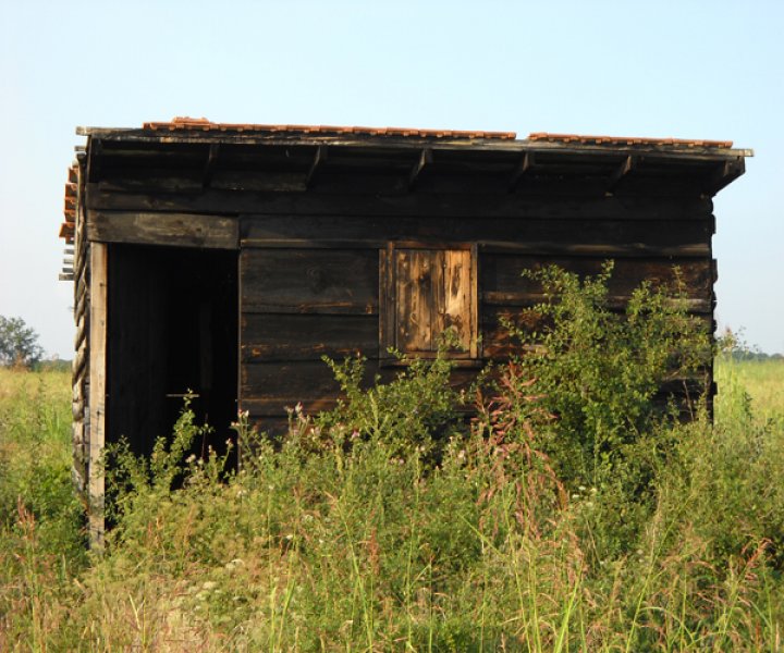 32338-dvorac.jpg, 375 KB